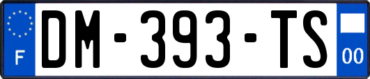 DM-393-TS