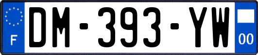 DM-393-YW