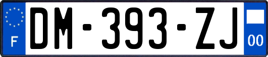 DM-393-ZJ