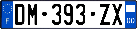 DM-393-ZX