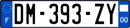 DM-393-ZY