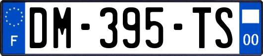 DM-395-TS