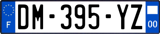 DM-395-YZ