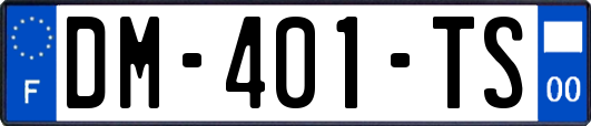 DM-401-TS