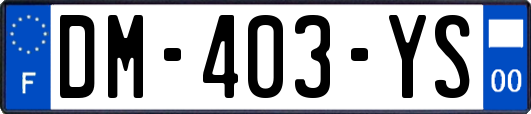 DM-403-YS