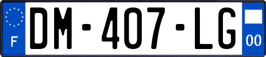 DM-407-LG