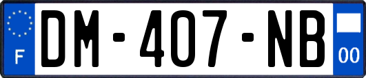 DM-407-NB