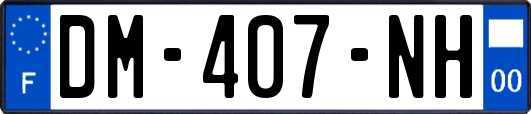 DM-407-NH