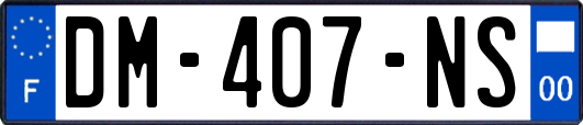 DM-407-NS