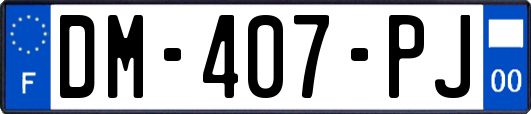 DM-407-PJ