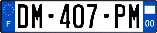 DM-407-PM