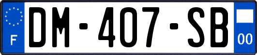DM-407-SB