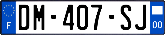 DM-407-SJ
