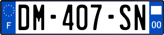 DM-407-SN