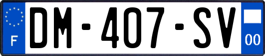 DM-407-SV