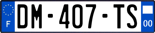DM-407-TS