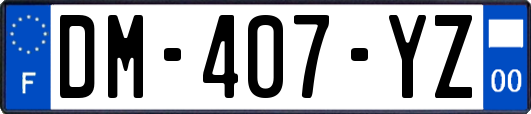 DM-407-YZ