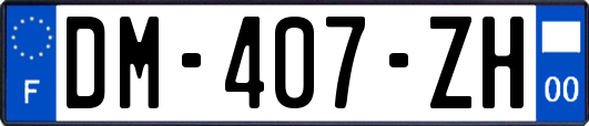 DM-407-ZH