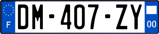 DM-407-ZY