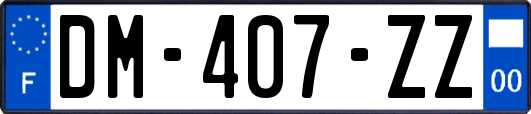 DM-407-ZZ