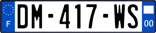 DM-417-WS