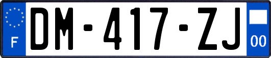 DM-417-ZJ