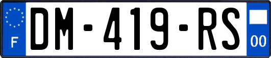 DM-419-RS