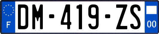 DM-419-ZS