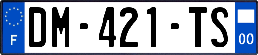 DM-421-TS