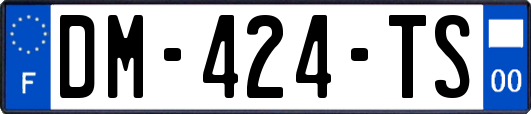 DM-424-TS