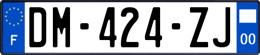 DM-424-ZJ