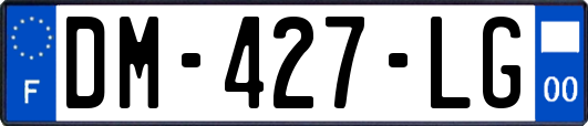DM-427-LG