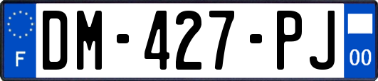 DM-427-PJ