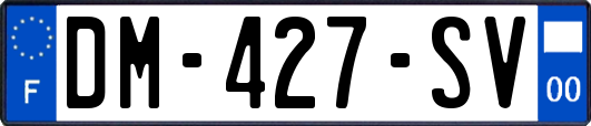 DM-427-SV