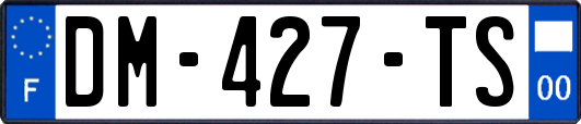 DM-427-TS