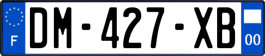 DM-427-XB