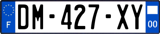 DM-427-XY