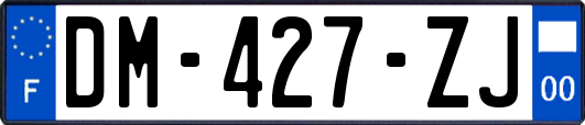 DM-427-ZJ