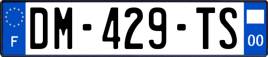 DM-429-TS
