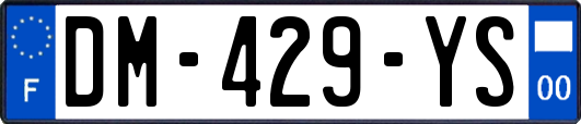 DM-429-YS