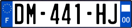 DM-441-HJ