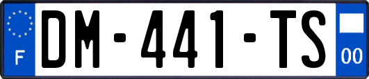 DM-441-TS