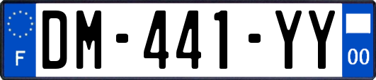 DM-441-YY