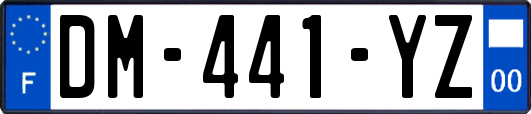 DM-441-YZ