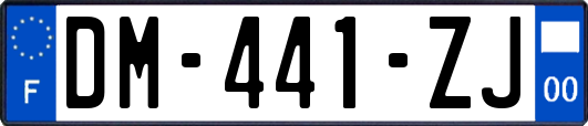 DM-441-ZJ