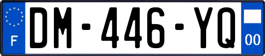 DM-446-YQ