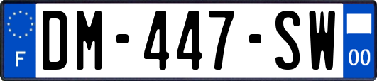 DM-447-SW
