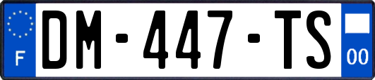 DM-447-TS