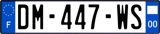 DM-447-WS