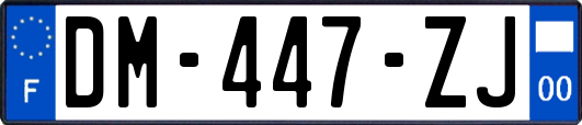 DM-447-ZJ